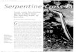 Serpentine Cross-Dressers. - Oregon State Universitypeople.oregonstate.edu/~masonr/pdfs/057serpentinecross.pdf · 2005-04-05 · Title: Serpentine Cross-Dressers. Created Date: 1/26/2001