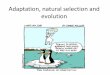 Adaptation, natural selection and evolution · 2017-06-03 · Adaptation, natural selection and evolution . Learning Intentions • Give the meaning of the term mutation. ... •Natural