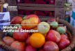 Module 2: Artificial Selection - Charles Darwin Trust · Darwin KS3 Module 2: Artificial Selection. Lesson plan Amassing evidence An idea central to Darwin’s theory of evolution