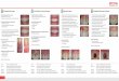 module Mucogingival esthetic surgery From the diagnosis to ... · “Mucogingival Therapy – Periodontal Plastic Surgery” in the Jan Lindhe textbook “Clinical Periodontology