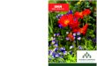 Visit 2019 · 2019-08-27 · 2019 Fall Annuals Premier Growers, Inc. Volume discounts available. Terms Net 30 with Approved Credit. Flat = 3½” pots, 18 pots per flat 1501s = 4½”