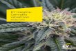 EY Insights: Cannabis valuations · 2019-10-23  · Valuation insights How are valuations of public cannabis companies performing overall? The news is not good. Generally, despite