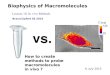 Biophysics of Macromolecules - uni-muenchen.de · Biophysics of Macromolecules 6. July 2015. Crowding alters Biochemical Equilibria Crowding alters the ... Energy Transfer (FRET)