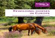 Rewilding horses in Europe · 2015-07-21 · Rewilding horses in Europe Background and guidelines – a living document Authors Leo Linnartz, ARK Nature Renée Meissner, Herds & Homelands