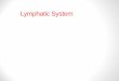 Lymphatic System - Northwest Career and Technical€¦ · Lymphatic System •The lymphatic system works along with the cardiovascular system to remove waste material. •The lymphatic
