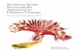 Resilient Reefs Successfully Adapting to Climate Change report Resilient Reefs...¢  the Resilient Reefs