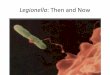 Legionella: Then and NoLegionella • The first known outbreak • Discovery of the causative agent • Development of a medium to grow Legionella ... Bacterial Pathogenesis: A Molecular