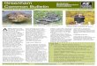 Greenham Common Bulletin - The Wildlife Trustsdata.wildlifetrusts.org/sites/default/files/files... · 2019-12-12 · Greenham Common Bulletin Learning more about adders 1st edition,
