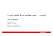 Oracle BPEL Process Manager Training · 2004.07 BPEL PM Training - Slide 2 List of Segments Table of Contents 1. Hello World BPEL Process 2. Invoking a Synchronous Web Service 3