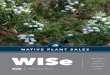 North Carolina Wildlife Resources Commission WISe · 2016-05-24 · Beneﬁts of Landscaping with NATIVE PLANTS Native plants are indigenous plants that have adapted over many years