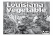 Louisiana Vegetable - LSU AgCenter · 2016-02-08 · Louisiana Vegetable Planting Guide Producing vegetables is a favorite pastime for many people. Homegrown vegetables have better