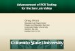 Advancement of PCR Testing for the San Luis Valleypotatoes.colostate.edu/.../01/Advancement-of-PCR-Testing.pdf · 2015-03-31 · Plant Virology Protocols: New Approaches to Detect
