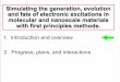 Simulating the generation, evolution and fate of electronic … · 2013-10-08 · Anna Krylov: Efficient tensor contraction algorithms and codes for wave-function methods Development
