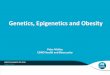 Genetics, Epigenetics and Obesity · Genetics, Epigenetics and Obesity Peter Molloy CSIRO Health and Biosecurity OBESITY SUMMIT, FEB 2019 ... Q1 27/17 2.50 X10-3 4.19 x 10-7 Q2 50/28