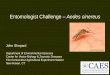 Entomologist Challenge Aedes cinereus - NMCA · • Darsie Jr RF, Ward RA. Identification and geographical distribution of the mosquitoes of North America, north of Mexico. University