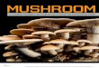 MuShRooM ManIfeSto - DOP · Stamets, that suggests it can break down toxic chlorine-based polychlorinated biphenyls, or PCBs. Most Americans think of mushrooms as ingredients in soup