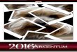 2016 Argentum - Great Basin College · 10 Argentum 2016 Argentum 2016 11 Jamie Barnson/Ely, GBC Staff and GBC Alumni 2012 “Freebird!” Digital Photo immigrants what sad beauties
