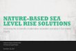 NATURE-BASED SEA LEVEL RISE SOLUTIONS - San Mateo€¦ · NATURE-BASED SEA LEVEL RISE SOLUTIONS Assessing the co-benefits of alternative restoration scenarios in San Mateo County