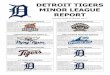 DETROIT TIGERS MINOR LEAGUE REPORTmilwaukee.brewers.mlb.com/documents/5/0/4/...MINOR LEAGUE REPORT (Through Games of Saturday, July 1) DSL TIGERS (DSL) Record/Standings: 6-19, 8th,