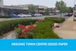 MOLONG TOWN CENTRE ISSUES PAPER...productive landscape and is a streetscape of considerable historic and architectural significance. Council has committed funding to develop the Molong