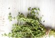 Letter from the Publisher - The Herb Cottage · including bacteria, viruses, fungi, and yeast. This makes sense, since traditional use of thyme is often for respiratory and digestive