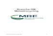 RIE - MRF€¦ · beschermingsmiddelen verstrekken. Voorbeeld: gehoorbescherming, veiligheidsbrillen. Redelijkerwijs-principe . De maatregelen op de verschillende niveaus hebben nadrukkelijk