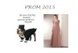 PROM 2015 - Moore Public Schools€¦ · PROM 2015 . Ladies, because you have SO many choices, yours becomes more ... Ladies, there are lots of lovely dresses out there that will