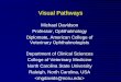 Visual Pathways - NC State Veterinary Medicine · 2019-09-27 · Visual Pathways Michael Davidson Professor, Ophthalmology. Diplomate, ... Automated Visual Field Testing. . Hemianopia