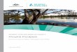 MURRAY–DARLING BASIN AUTHORITY Chowilla Floodplain Environmental Water Management ... · 2019-03-22 · management plan focuses on the Chowilla Floodplain (including Kulcurna) component