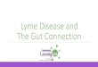 Lyme Disease and The Gut Connection Lyme Disease and The Gut Connection. Agenda What Lyme Disease Causes