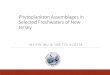 Phytoplankton Assemblages in Selected Freshwaters of New ... · Phytoplankton Assemblages in Selected Freshwaters of New Jersey ... Higher intensity of HAB events Little information