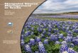 2016 AnnuAl RepoRt - Texas State Soil and Water ... · Texas State Soil and Water Conservation Board Richard A. Hyde, P.E. Executive Director Texas Commission on Environmental Quality