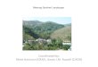 Coordinated by: Rhett Harrison (ICRAF), Aaron J.M. Russell ... · 1 Mekong Sentinel Landscape # * R. Harrison (ICRAF)* Aaron Russell Sites in Oudomxay and Luang Namtha (Lao), Xishuangbanna
