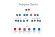 Pedigree Charts - Weeblymarandoscience.weebly.com/uploads/2/3/7/6/23768555/... · 2019-01-15 · Pedigree Charts. What is a pedigree? •a chart of the genetic history of a family