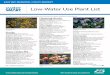 Low-Water Use Plant List - East Bay Municipal Utility District · 2017-07-06 · Heuchera maxima Island alum root Ca Oenothera Evening primrose, sundrops Ca Ribes viburnifolum Evergreen