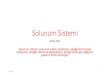 Solunum Sistemi€¦ · Solunum sistemi, solunum yolları anatomisi, akciğerlerin temel anatomisi, akciğer hacim ve kapasiteleri, akciğerlerde gaz değişimi, gazların kısmi