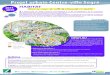 Projet urbain Centre-ville Segré - Anjou Loire Territoire · Projet urbain Centre-ville Segré 2017 2030 HABITAT Le centre-ville de Segré accueille actuellement 8 % de la population