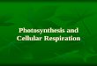 Photosynthesis and Cellular Respiration - Weebly Hint ¢â‚¬â€œReverse Photosynthesis Cellular Respiration