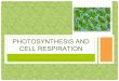 PHOTOSYNTHESIS AND CELL RESPIRATION PHOTOSYNTHESIS AND CELL RESPIRATION . PHOTOSYNTHESIS PHOTOSYNTHESIS