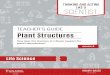 Plant Structures - VAEI · How do the structures of a flower support the plant’s reproduction? RICH LANGUAGE Students may not be familiar with the term structures. Discuss this