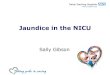 Jaundice in the NICU...Phototherapy Treatment for Neonatal Jaundice. Pediatrics 131 (6): 1032-1034 Pediatrics 131 (6): 1032-1034 Wentworth SDP (2005) Neonatal Phototherapy …