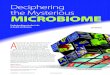 Deciphering the Mysterious MicrobioMeborensteinlab.com/media/IEEE_Pulse_deciphering.pdfDeciphering the Mysterious MicrobioMe Date of publication: 27 September 2016 ... your microbiome,