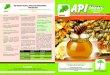 APIAPI News - TUNADO Issue four.pdf · 2016-08-11 · the bible plus the innovative kitchen style honey sweet ... beekeepers, packers and processors all are ... APIAPINews August