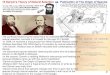 15 Darwin's Theory of Natural Selection Publication of The ...9-16Key).pdf · 15 Darwin's Theory of Natural Selection 12 Darwin wrote about Inherited Variation-Before Darwin, differences