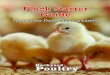 Flock Starter Guide - Backyard Poultry · “all things goat.” Regular topics include raising, breeding, and marketing goats, along with features and information on making the goat