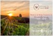 PowerPoint Presentation · Willamette Valley Winery Association - Visitor Profile Study –Final Report of Findings p a g e 13 EXECUTIVE SUMMARY –THE WINE TOURIST PROFILE & DEMOGRAPHICS