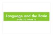 Language and the Brain - University of California, …grammar.ucsd.edu/.../lign170.SP2005/Lectures/Lecture16.pdfLanguage and the Brain LIGN 170, Lecture 16 Neurons • Cells which