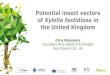 Potential insect vectors of Xylella fastidiosa in the ... · 2 European Conference on Xylella fastidiosa 2017: finding answers to a global problem Need to determine the vectors to