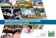 Reducing greenhouse gas emissions from livestock: Best ... · Foreword ‘Reducing Greenhouse Gas Emissions from Livestock: Best Practice and Emerging Options’ is a joint effort