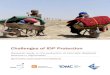 Challenges of IDP Protection - Home | IDMC...2 Challenges of IDP Protection Acknowledgements All entities involved extend their appreciation and gratitude to: The Norwegian Ministry